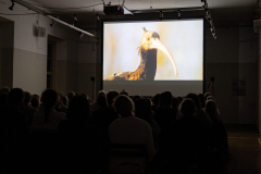 Foto: Peter Grießer © dotdotdot