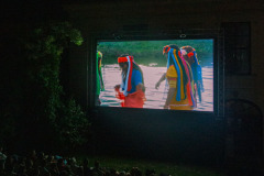 Foto: Tobias Raschbacher © dotdotdot Foto: Tobias Raschbacher © dotdotdot