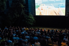 Foto: Hanna Pribitzer © dotdotdot