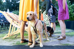 Foto: Paul Pibernig © dotdotdot Foto: Paul Pibernig © dotdotdot