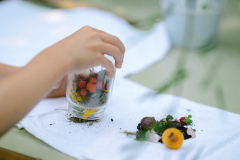 © Katie-Aileen Dempsey