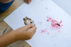 © Katie-Aileen Dempsey © Katie-Aileen Dempsey